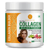 Glowsik Plant Based Collagen Builder Powder - 300 gms