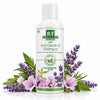 Dr. Willmar Schwabe Boericke & Tafel Anti-Dandruff Shampoo 100ml