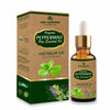 Deep Ayurveda Peppermint Pure Essential Oil (Mentha piperita) - 20 ml