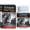 Shivalik Herbals Shilajeet Mega Power - 60 tabs