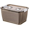 Kuber Industries Small Fridge Crisper with Lid | Detachable Hollow Basket | Brown