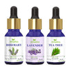 Homeda Tea Tree & Lavender & Rosemary Essential Oil Combo