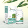 Four Seasons Wheatgrass Powder - 100 gms