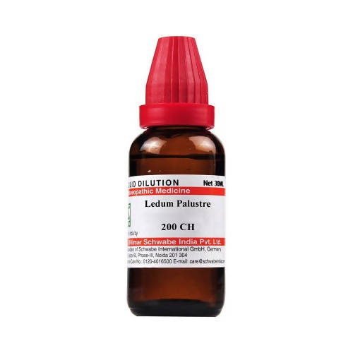 Dr. Willmar Schwabe India Ledum Palustre Dilution - Distacart