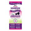 Abhay Ayurvedic Pharmacy Ayucine Forever Jambavasava - 500ml - Pack of 2