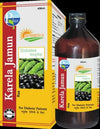 Goodluck Ayurveda Karela Jamun Juice - 450 ml