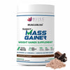 Bliss Welness Mass Gainer - 1 kg
