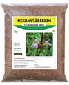 3V Products Dried Neermulli Seeds - 100 gms