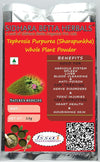 Sidhara Betta Herbals Tephrosia Purpurea (Sharapunkha) Whole Plant Powder - 15 gms