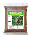 3V Products Dried Neermulli Seeds - 50 gms