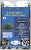 Sidhara Betta Herbals Leucas Aspera (Tumbe) Whole Plant Powder - 15 gms
