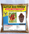 3V Products Aalam Vidhai Powder - 100 gms