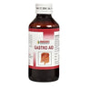 Bakson's Homeopathy Gastro Aid Syrup