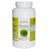 Ayurvedic Life Wheatgrass tablet – Green food supplement – 500 tablet