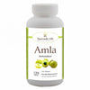 Ayurvedic Life Amla tablet – Amla for digestion – 120 tablet
