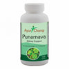 Ayur Champ Punarnava - 120 capsules (Pack of 2)