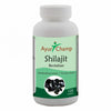 Ayur Champ Shilajit - 120 capsules (Pack of 2)