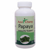 Ayur Champ Papaya - 120 tablets (Pack of 2)