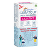 DR. Morepen Great Gut  Pre & Probiotic For Overall Digestive Health - 4 sachets
