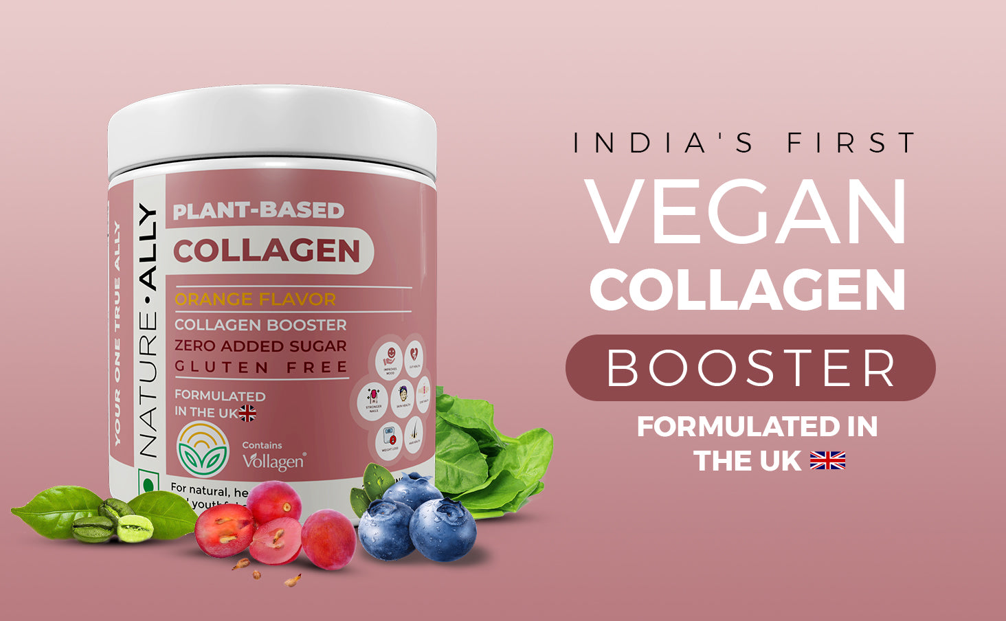 Nature Ally Plant Based Collagen Powder - 250 gms