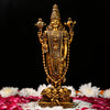 Artarium Venkateshwar Balaji Idol