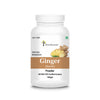 Four Seasons Ginger (Sonth) Powder - 100 gms