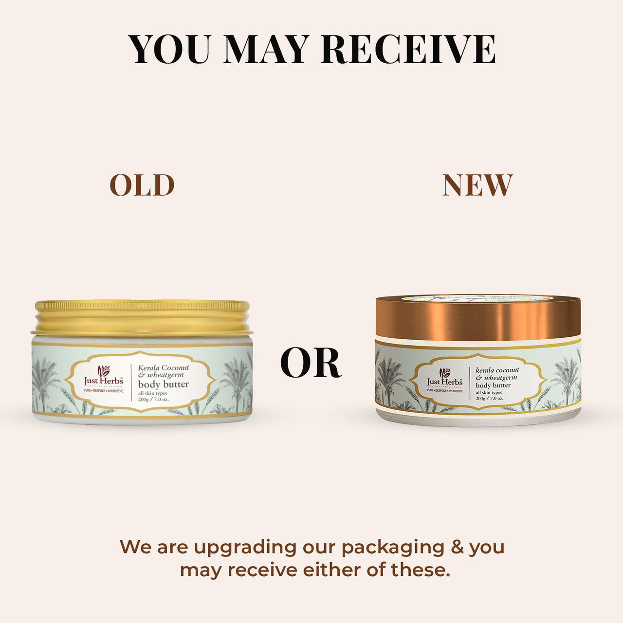 Just Herbs Kerala Coconut & Wheatgerm Body Butter 200 gms Swadesii