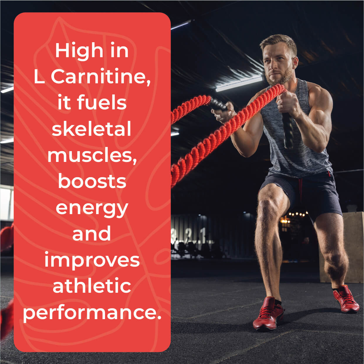 Boldfit L-Carnitine L-Tartrate supplement - Swadesii