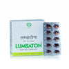 AVN Ayurveda Lumbaton Soft Gel Capsules - 120