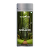 Innoveda Mullein Pure Leaf Tea - 50 gms