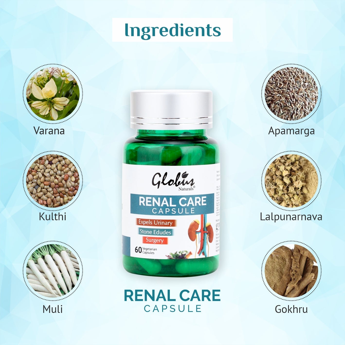 Globus Naturals Renal Care Ayurvedic Capsules for kidney Stone & Urina Swadesii