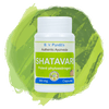 B.V. Pundit's Shatavari - 60 tabs