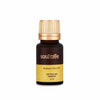 Soultree Radiance Face Oil With Saffron & Turmeric