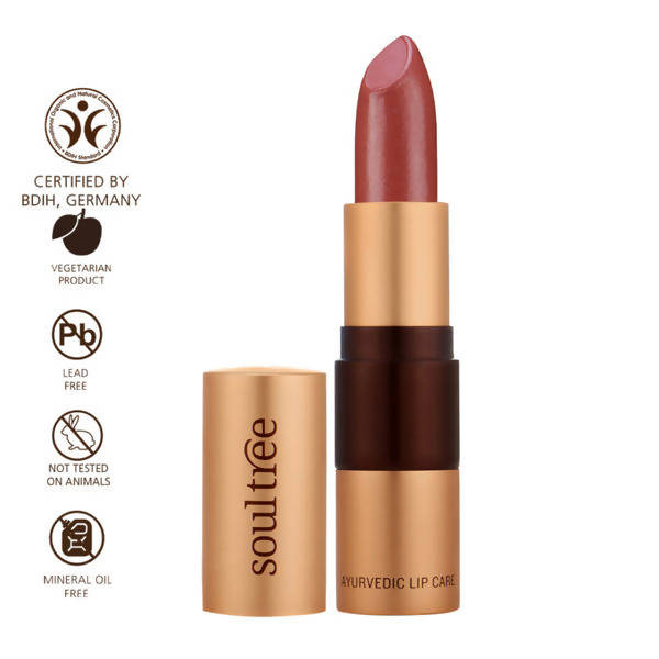 Lipstick Shiny Blush