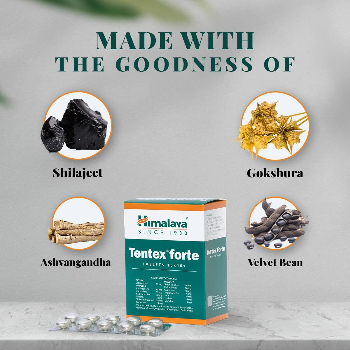 Himalaya Tentex Forte Tablets - 10 Tablets (Pack of 10) - Distacart