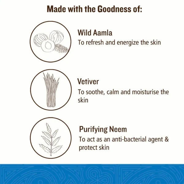 Soultree Hair & Body Wash