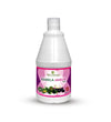 Balu Herbals Karela Jamun Ras - 500 ml