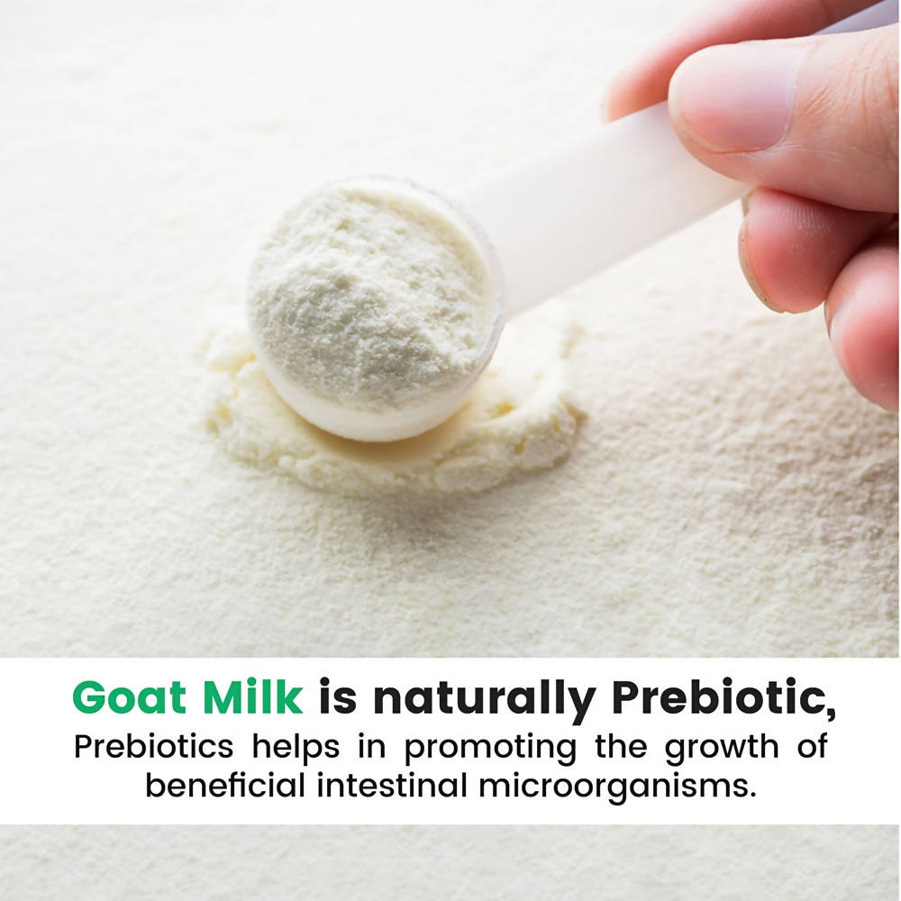 Aadvik Hye Foods Goat Milk Powder - Distacart