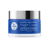 The Moms Co Natural Age Control Night Cream - 50 gms