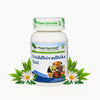 Planet Ayurveda Vriddhivadhika Vati - 120 tabs
