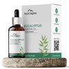 Aravi Organic Nilgiri Eucalyptus Essential Oil - 15 ml